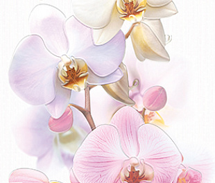 Tropicana Декор Orchids (TC2M051DT) 25х35
