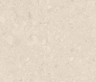 Плитка FLODSTEN ARTIC MATT 60X120 CB UNGL