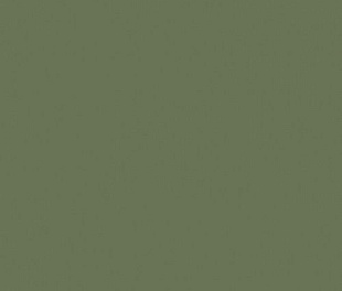 Плитка из керамогранита Estima Rainbow 40х40 зеленый (RW06)