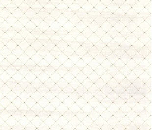 44,7*44,7 Neutral (узор в центре) Vasari