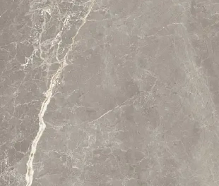 Плитка LIVIA MOKA MATT 60X120 Artech