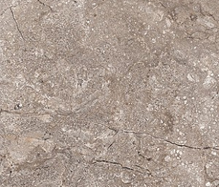 6405 Stone Grey Polished 60x120 (46,08)