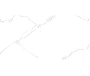 Elemento Bianco Carrara WT9ELT00 Плитка настенная 250*500*9 (13 шт в уп/63,375 м в пал)