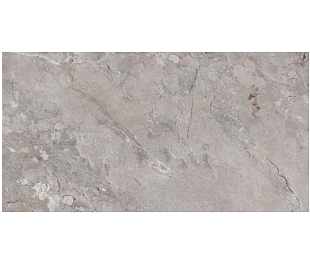 Element Castona Gris 60х120