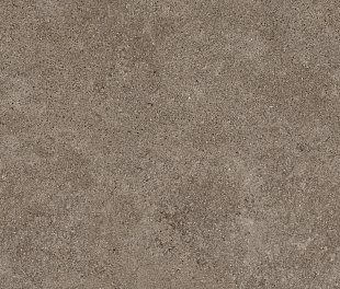 PORFIDO BROWN 120X120 5,6