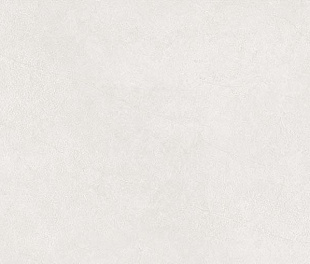 ASTER DEW FULLBODY CARVING 60x120x0,9 (1,44м/2шт)