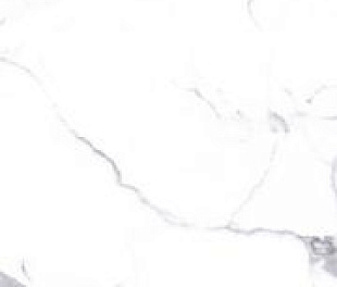 LOGAN POLISHED 80x160