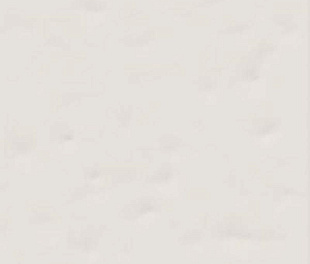 Паола Бланко-В 20x20 (в кор. 25 шт. = 1м2) - Paola Blanco-B