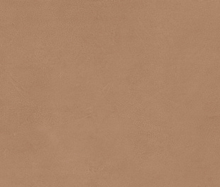Плитка облиц. керамич. BOOST EXPRESSION SIENNA 50X120,  8.5мм, 50x120 (AYR9)