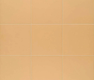 Technical Tangerine 20х20
