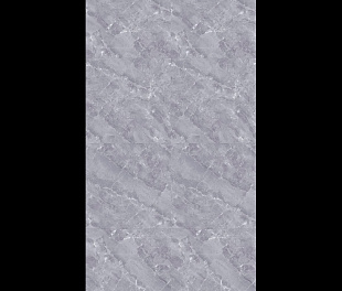 PL-Y82