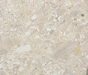 Ceppo Avorio Rett 60х120