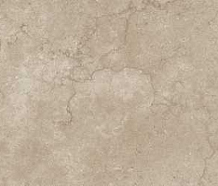 Taupe 60*120