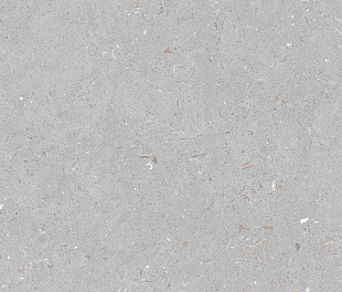 Плитка из керамогранита Simpolo Fossil 59.8х119.8 серый (MPL-061839)