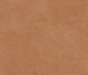 RTN6 ARANC278RM 120x278