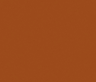 YC29 60x120x10 Непол.Рект. (Керамический гранит)