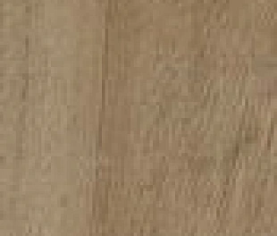 RDGG Nodis Rovere 10х70