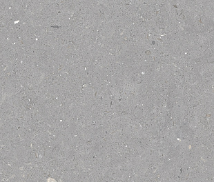Плитка из керамогранита Simpolo Fossil 59.8х119.8 серый (MPL-061843)