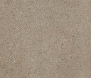 Seastone Greige 60 (8S23) 60x60