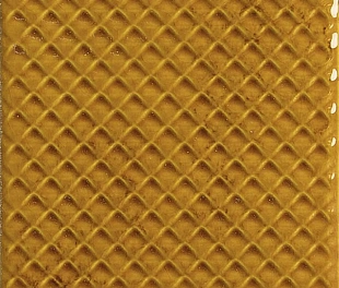 Mimosa Amber 10x10 