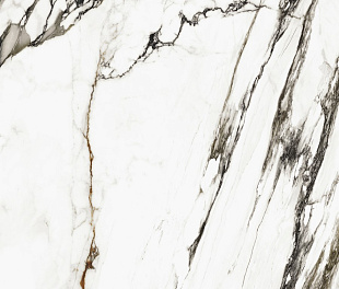 PAONAZZO BIONDO SILK PV6 120X120(A)