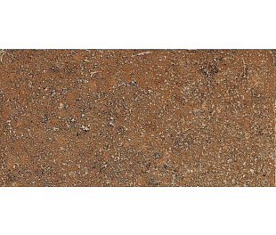 Керамическая плитка POMPOSA AMBRA 20X40