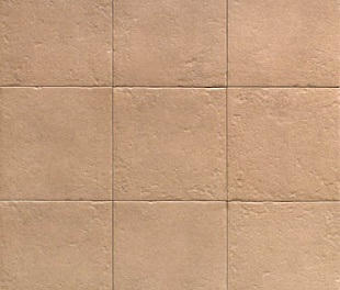 Canem Seasons 20х20