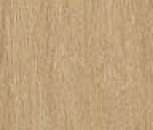 fPVZ Roots Honey Matt R9 20x120 RT