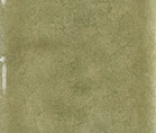 Керамогранит DNA Mixtura Leaf Gloss 4,6х37,5 (0,293)