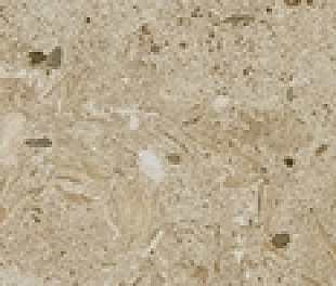 Керамогранит Bera&Beren Biscuit B.Hammed 5x60