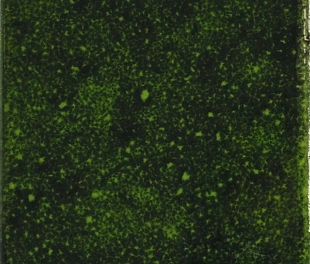 Genuine Emerald 10x10 