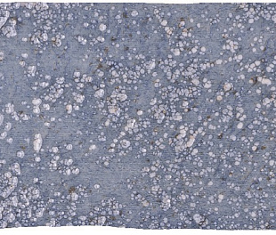 Настенная плитка OKEN Blue Brillo 7,5x30