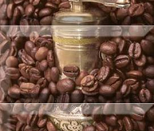 Composicion Coffee Beans 01 20x30