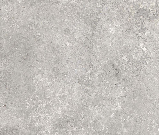 WINDSOR LIGHT GREY 40x60 8,5 мм