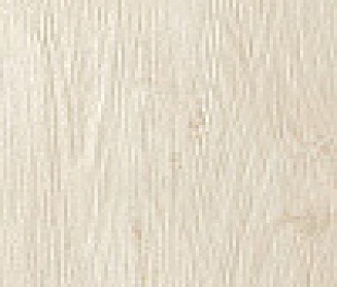 Frame Magnolia Lap 19,5x59/Фрейм Магнолия Шлиф 19,5х59