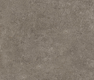 PORFIDO BROWN 60X120 5,6
