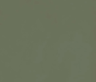 Керамическая плитка для стен Marazzi Italy Grande Resin Look 120x278 зеленый (M7GY)