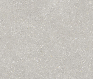 Pietra Light Grey 60х120