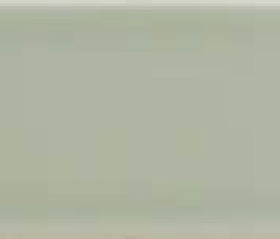 31141 Vitral Mint 5х40 (60уп)