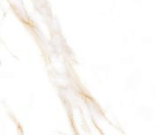 CALACATTA GOLD POLISHED 80x160