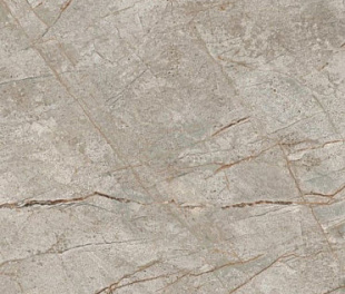 610090002383 Вставка EMPIRE SILVER ROOT BOTTONE 7,2x7,2 см