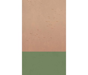 Керамическая плитка W&S D COUNTRY A 120x240