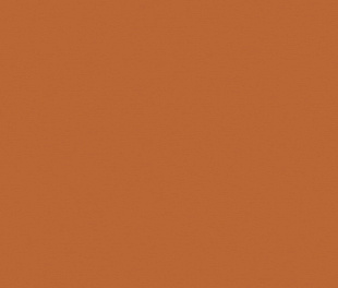 YC27 60x120x9 Непол.Рект. (Керамический гранит)