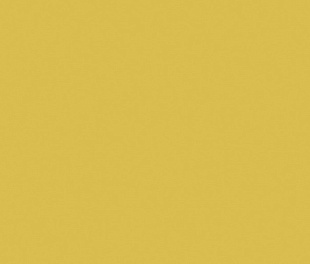 YC14 80x160x10 Непол.Рект. (Керамический гранит)