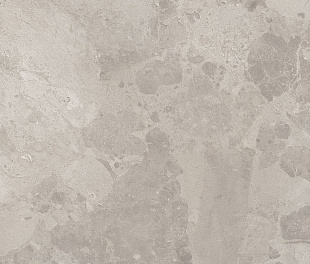 BLOOMSTONE SILT 60X120 RT