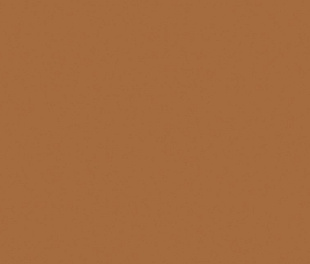 Exotic Light Brown 60х120 Matt