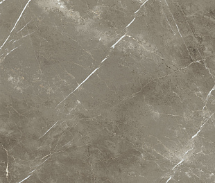 Плитка из керамогранита Italon Стелларис 120x120 серый (600010002388)
