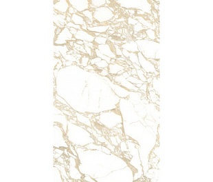 4100704 Pulp Gold D. Polished 60x120