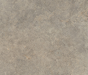 RAFX Richmond Musk Rett 60x120