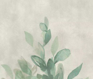 DREAM GARDEN 120x278 6.5